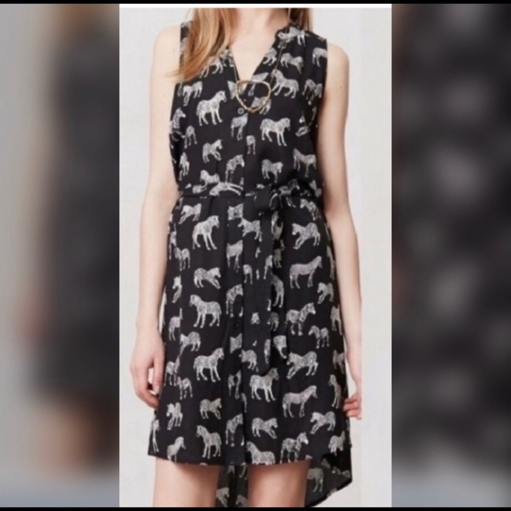 Anthropologie, Navy and Zebra dress